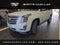 2019 Cadillac Escalade Platinum